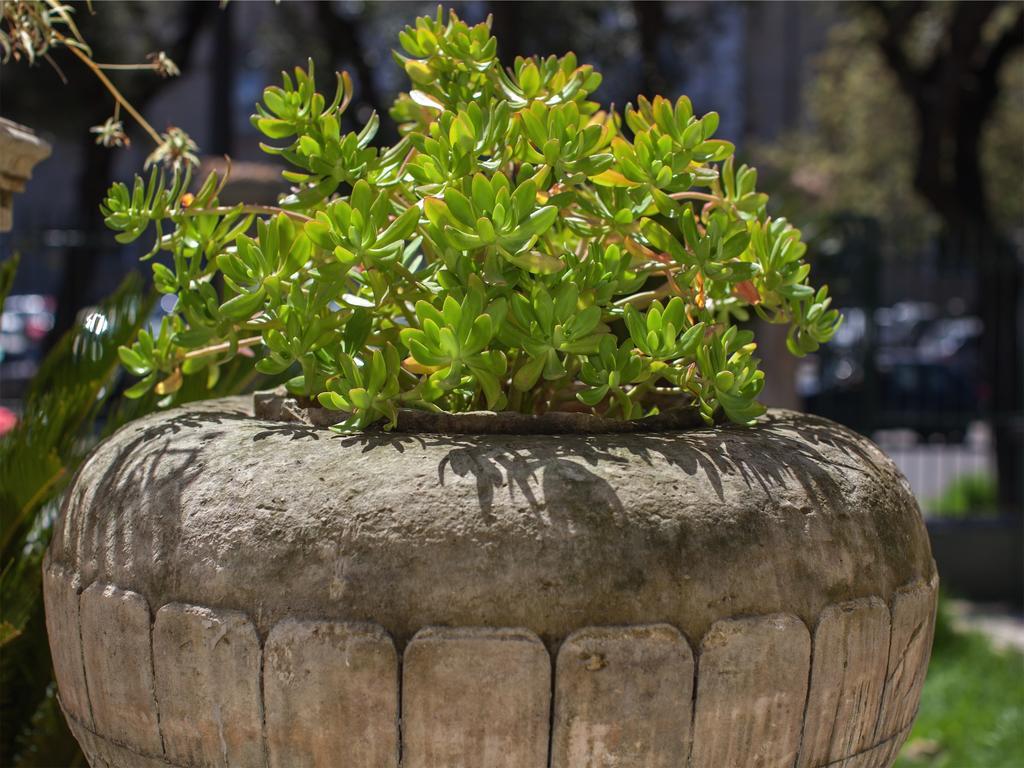 Casa Q Bed & Breakfast Lecce Buitenkant foto